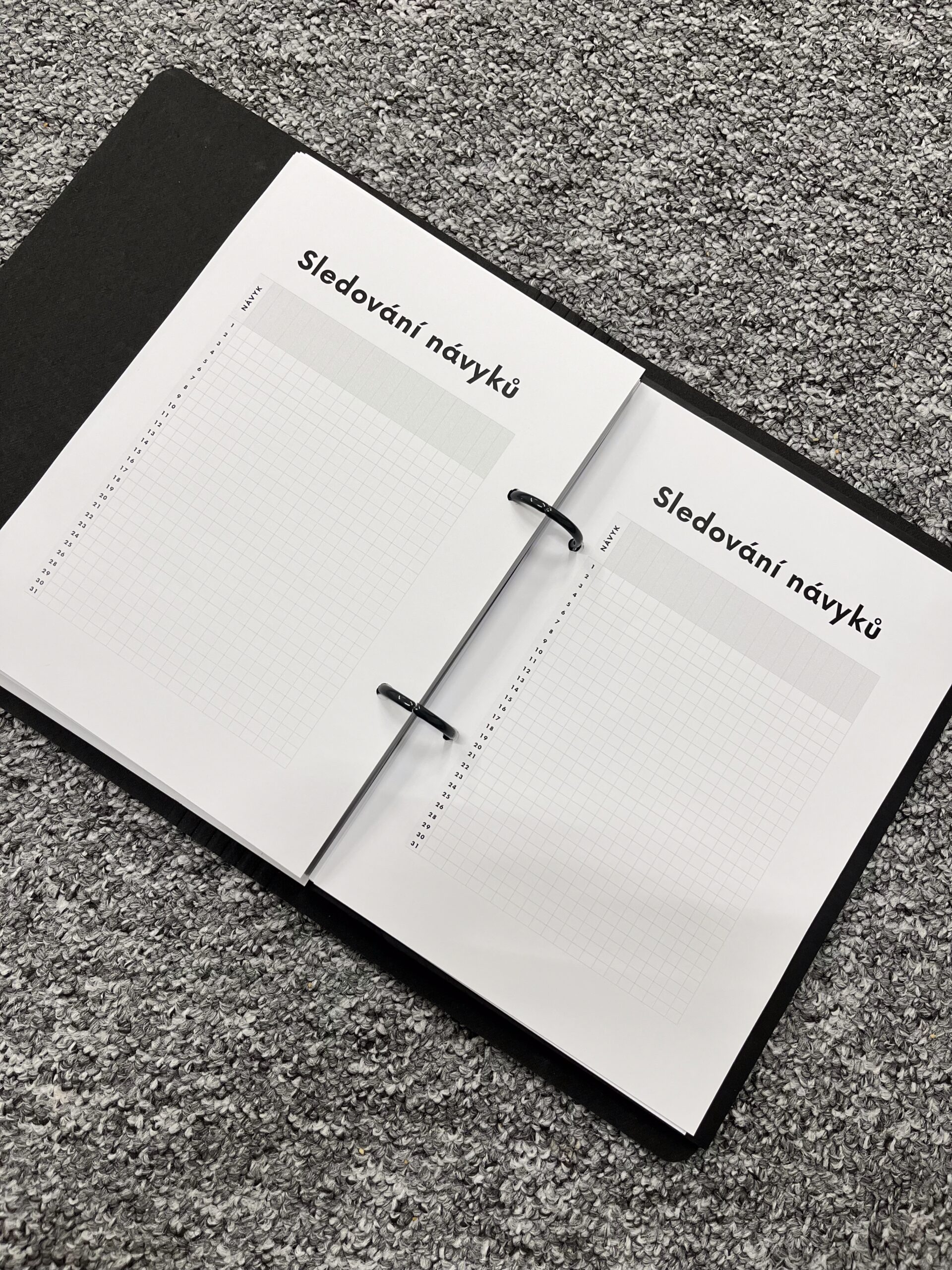 PŮLROČNÍ DIÁŘ 📓 - Oh my diary 2025 - Image 4