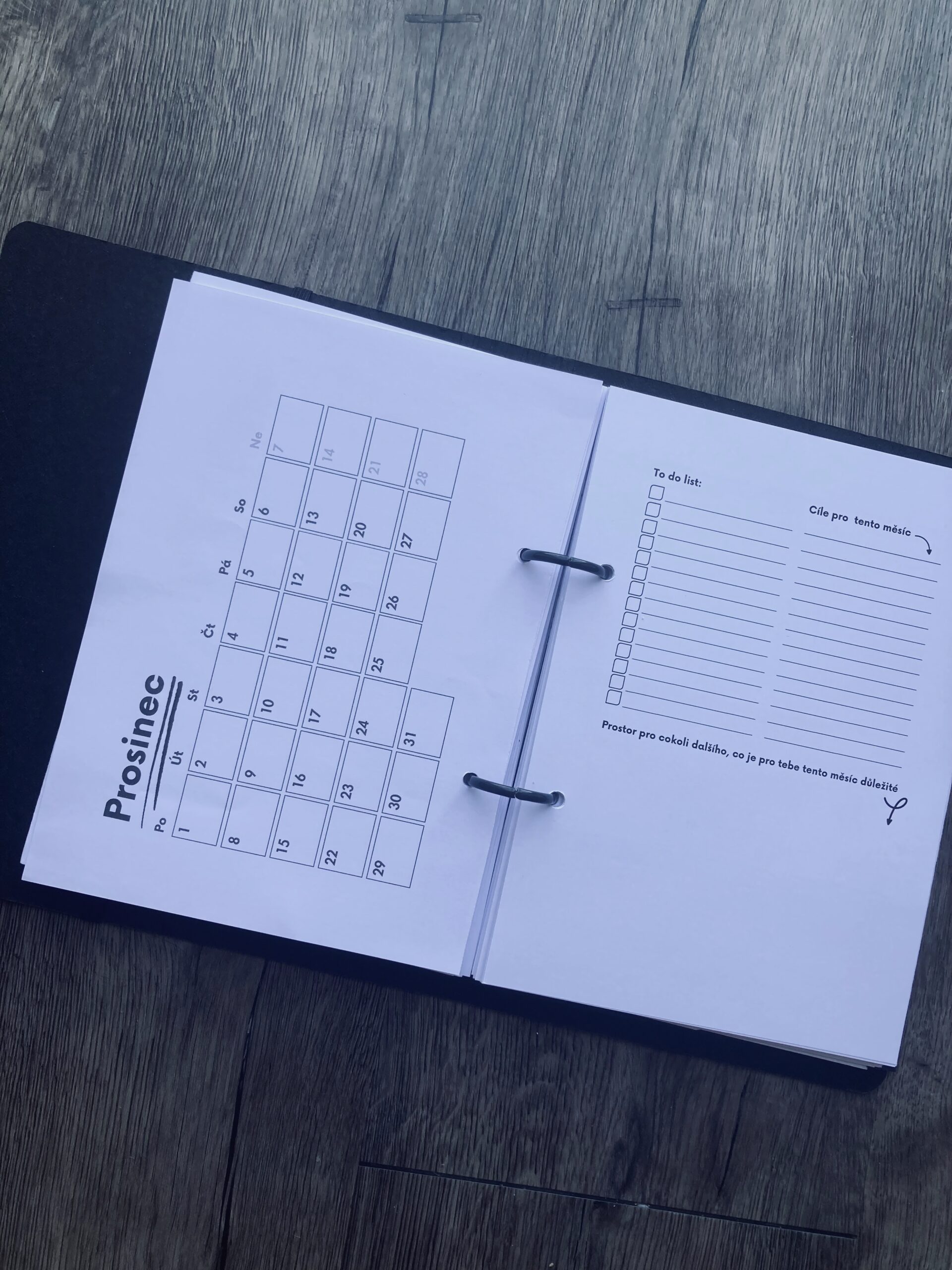 PŮLROČNÍ DIÁŘ 📓 - Oh my diary 2025 - Image 9