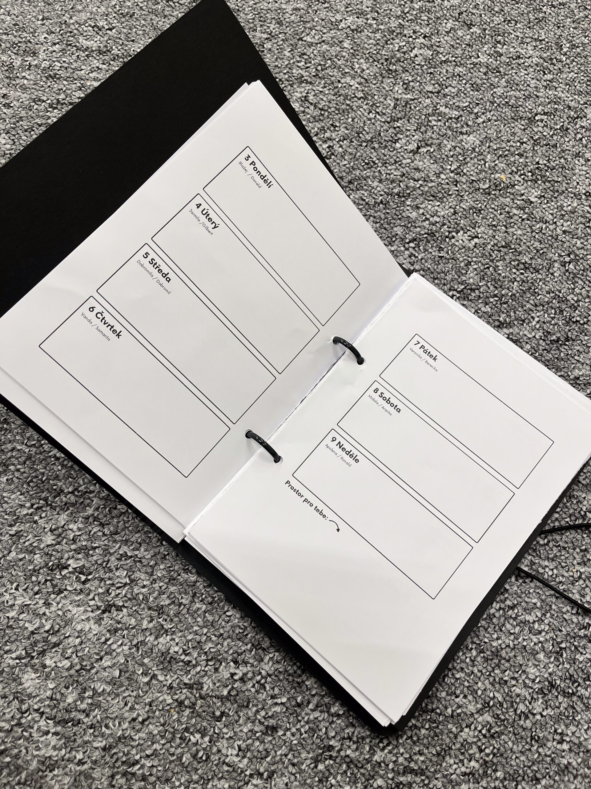 PŮLROČNÍ DIÁŘ 📓 - Oh my diary 2025 - Image 3